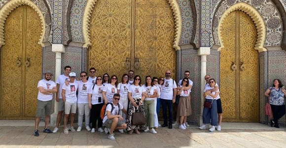Fes: Rampart Tour at King Palace, Jewish quarter, Tanneries