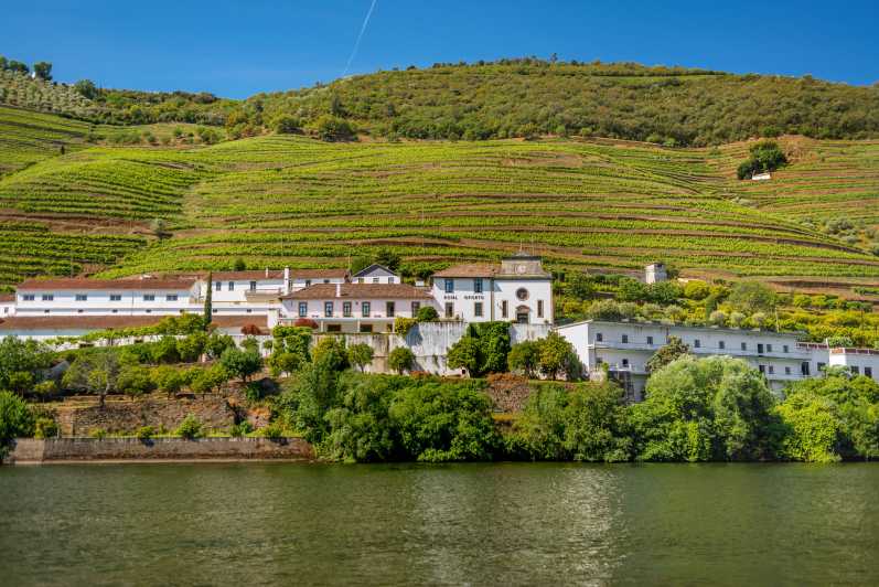 authentic douro wine tour including lunch and river cruise