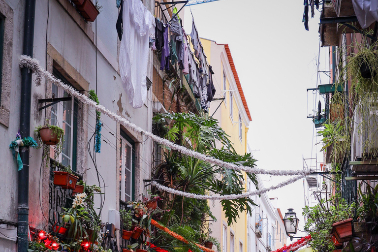 Visit of Lisbon in French. Small group (10 max)! Follow me! Visite Goupe privée de Lisbonne!