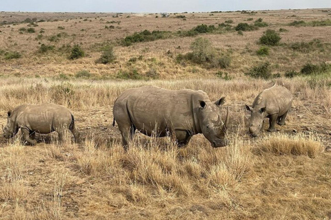 Nairobi National Park Privé Halve Dag Tour met Pick Up