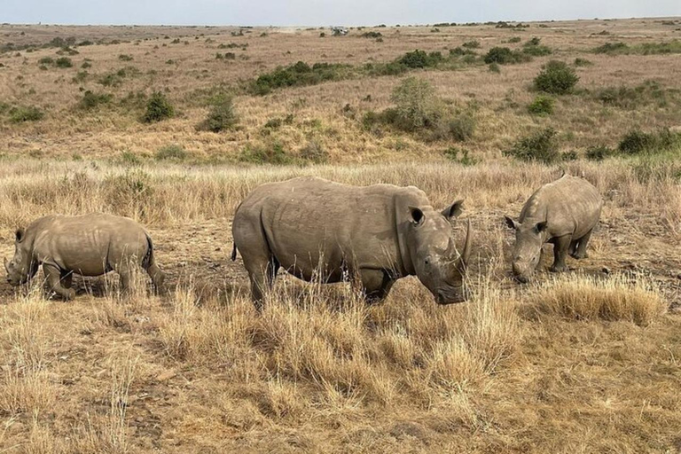 Nairobi National Park Privé Halve Dag Tour met Pick Up