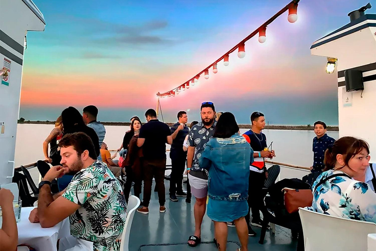 布宜诺斯艾利斯：含开放式酒吧的拉普拉塔河日落巡游1 小时游览