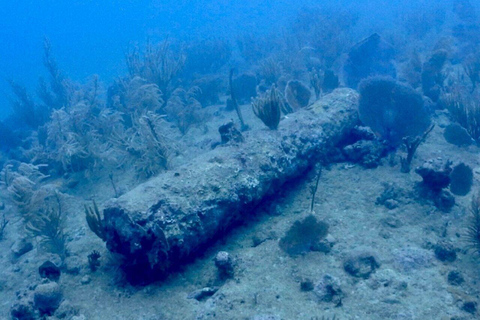 Scuba Diving in Puerto Plata Scuba Dive + Transport