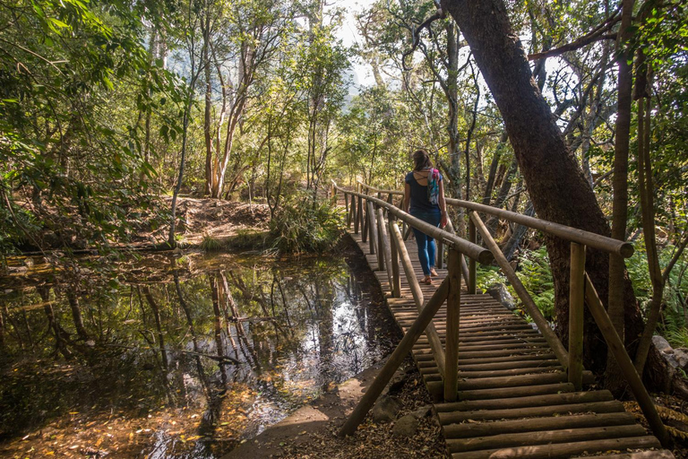 Cape Town: Kirstenbosch Botanical Garden Entry Ticket