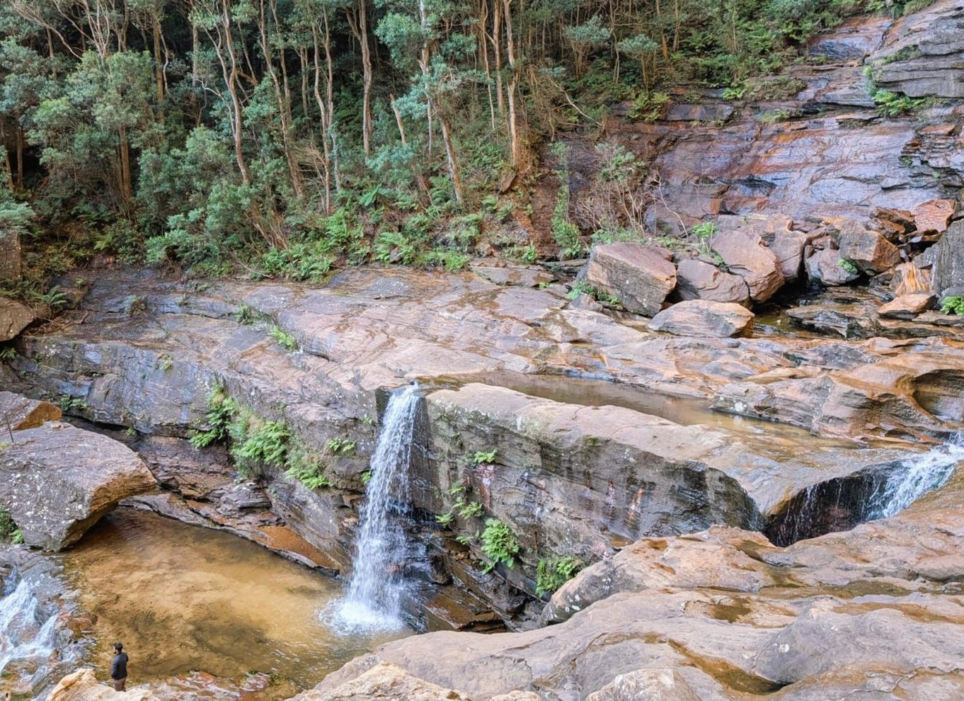 Sydney: Waterfall Bushwalk og Blue Mountain Sunset Day Trip