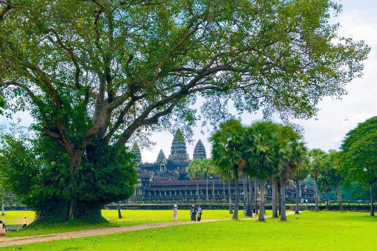 1-dagars liten rundtur: Angkor Wat, Bayon, Ta ProhmEndagsrundtur med engelsktalande chaufför