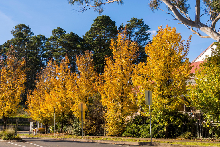 Sydney: Blue Mountains 3 Scenic Walks Ultimate Guided Tour Shared Tour, Meet at Furama Darling Harbour