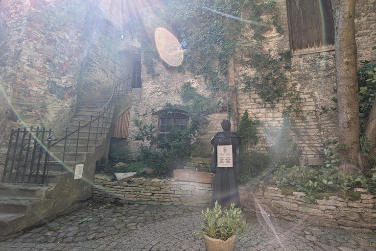 تالين: جولة سير خاصة وشخصية في البلدة القديمةتالين: جولة سير شخصية خاصة في البلدة القديمة لمدة 3 ساع