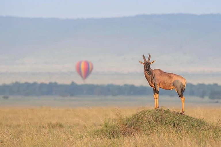 From Nairobi: National Park & Maasai Mara Safari Guided Tour