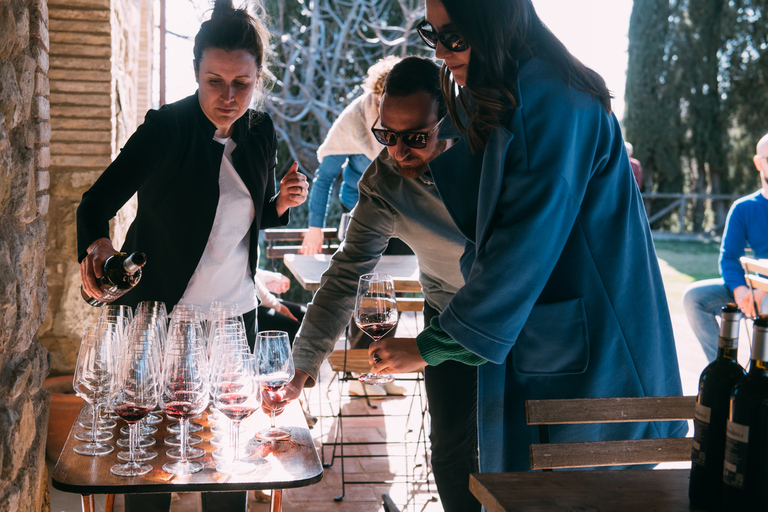 Von Florenz aus: Chianti-Hügel Halbtagestour mit WeinverkostungWeinkeller-Tour auf Englisch