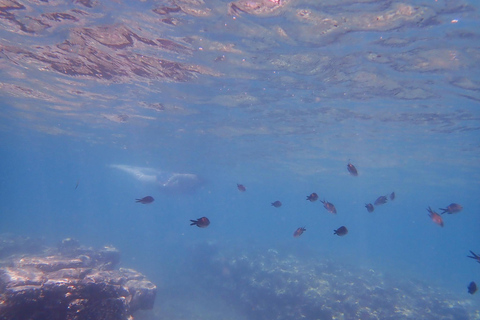 Epidaurus, Nafplio & Snorkeling at ancient sunken city