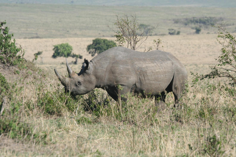 Safari dans le Kenya sauvage Explorez Amboseli, Tsavo Ouest et Tsavo Est 4 joursSafari sauvage au Kenya : découvrez Amboseli, Tsavo Ouest et Tsavo Est en 4 jours