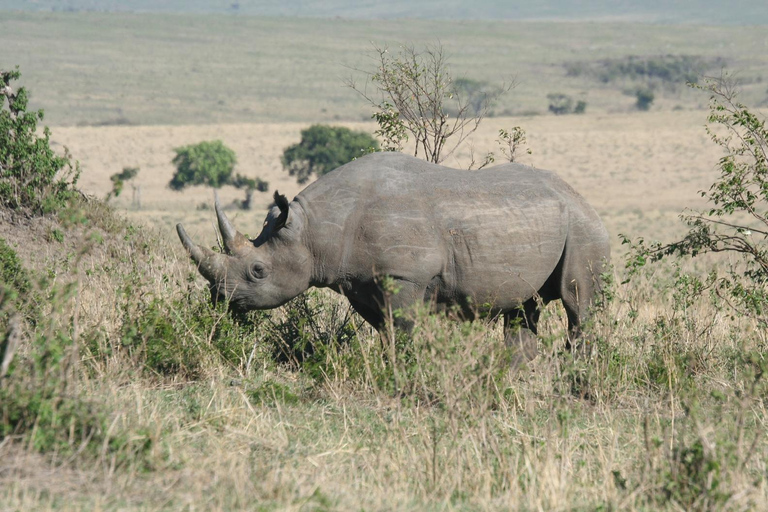 Safari dans le Kenya sauvage Explorez Amboseli, Tsavo Ouest et Tsavo Est 4 joursSafari sauvage au Kenya : découvrez Amboseli, Tsavo Ouest et Tsavo Est en 4 jours