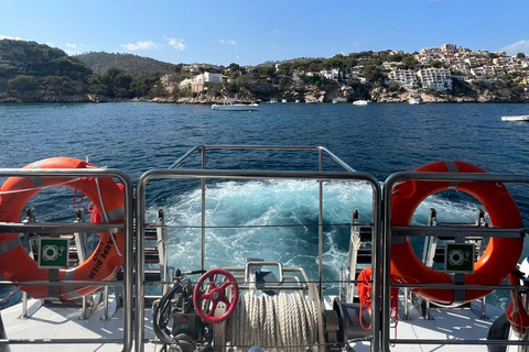 From Palma: Afternoon Dolphin-Watching Boat Tour1:11 PM Tour from Bus Stop 355 Taurus Park