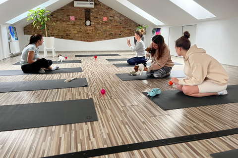 Puppy Yoga in Riga