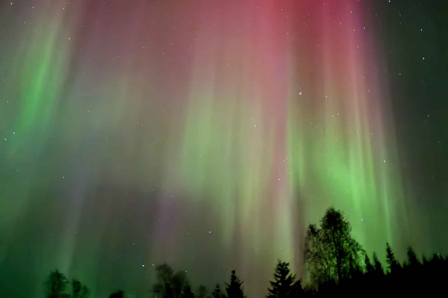 Tromsø: Private Northern Lights Chase by Mercedes V-class