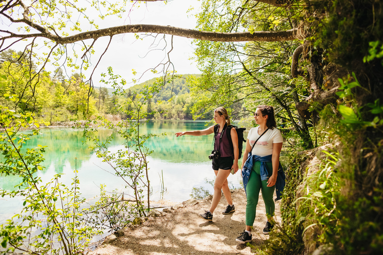 Ze Splitu lub Trogiru: Wycieczka nad Jeziora Plitwickie z biletami wstępuJeziora Plitwickie: wycieczka grupowa ze Splitu