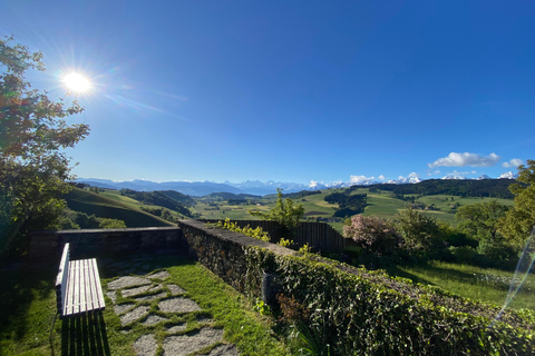 Bern: Tour preAlps-World Champion Cheese Factory, great view