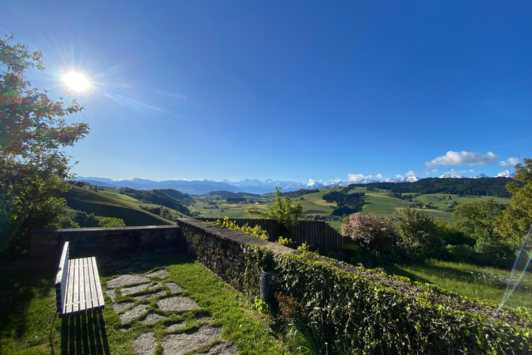 Bern: Tour preAlps-World Champion Cheese Factory, great view