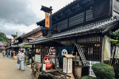 De Tóquio: Excursão de 1 dia a Nikko, Património Mundial, em privado