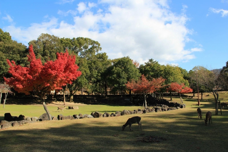 One Day Private Customized Self-Guided Tour in Nara One Day Customized Self-Guided Tour in Nara