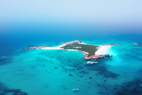 Mascate : tour en bateau privé des îles Daymaniyat avec plongée en apnée