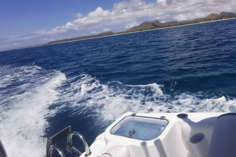 Prywatny czarter – połów ryb głębinowych w Boa Vista4 godziny wędkowania na głębokim morzu