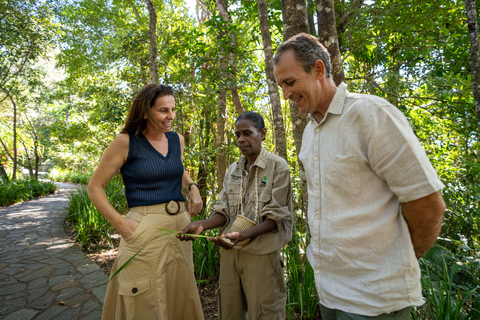Cairns: Cattana Wetlands, Barron Falls e Kuranda RailwayPort Douglas: cascata, zone umide e Skyrail