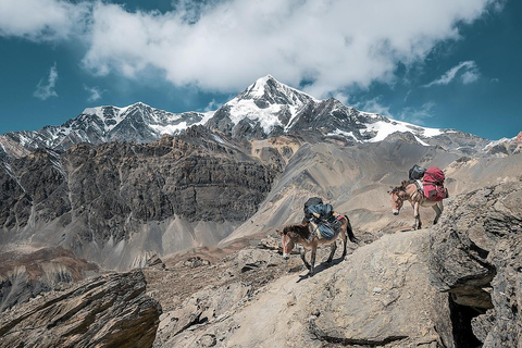 Everest Base Camp Trek: 15-Day Guided Tour