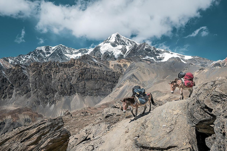 Everest Base Camp Trek: 15-Day Guided Tour