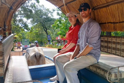 8-Day Sri Lanka Cultural, Hill Country &amp; Beach Tour