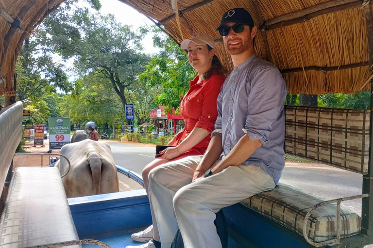 8-Day Sri Lanka Cultural, Hill Country &amp; Beach Tour