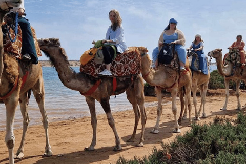 Agadir: Giro panoramico in cammello vicino al fiume Flamingo