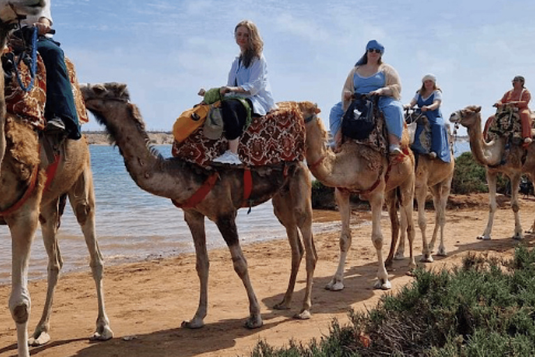 Agadir: Giro panoramico in cammello vicino al fiume Flamingo