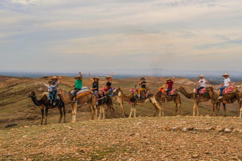 Marrakech: Agafay woestijn Quad &amp; kamelenritten met dinnershow