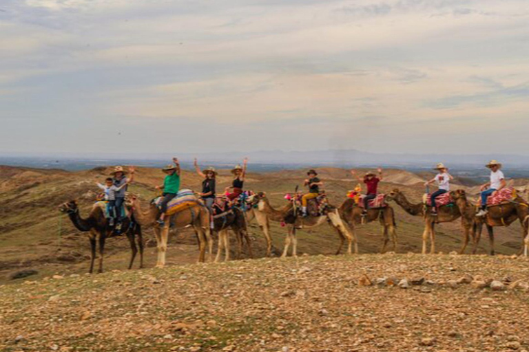 Marrakech: Agafay woestijn Quad &amp; kamelenritten met dinnershow
