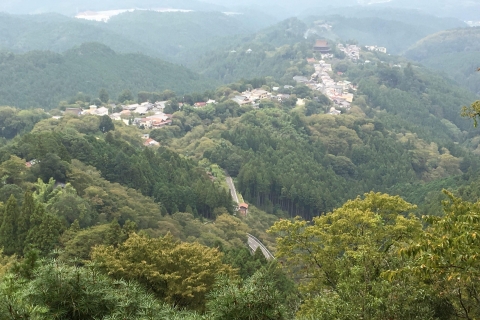Yoshino: Prywatna wycieczka z przewodnikiem i wędrówka po japońskiej górzeYoshino: Całodniowa prywatna wycieczka z przewodnikiem po japońskich górach