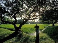 Van Bentota/Beruwala, Lunuganga & Brief Garden Marvels Tour - Housity