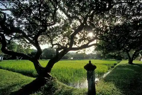From Bentota/Beruwala: Lunuganga & Brief Garden Marvels Tour