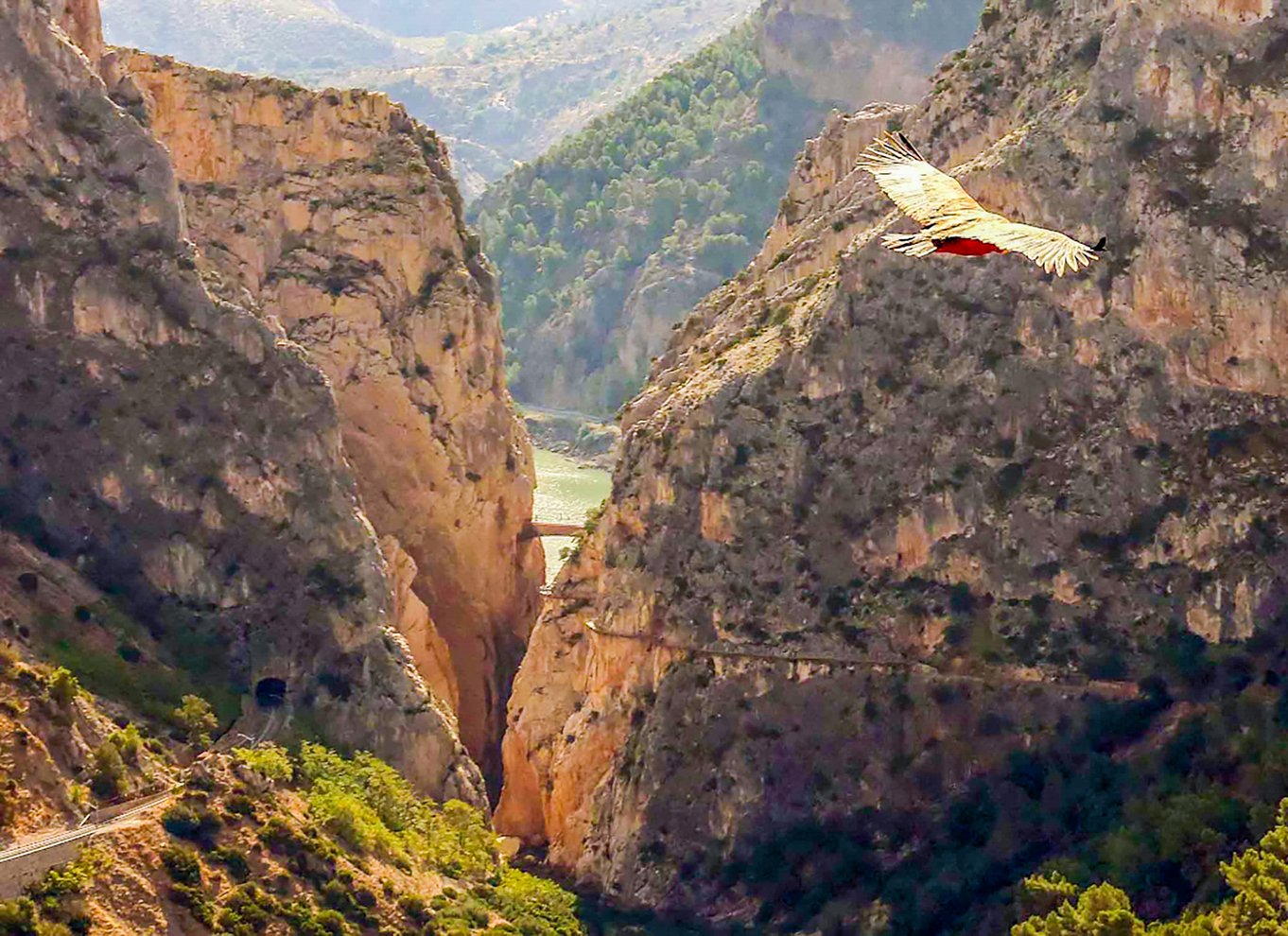 Caminito del Rey: Adgangsbillet og guidet tur