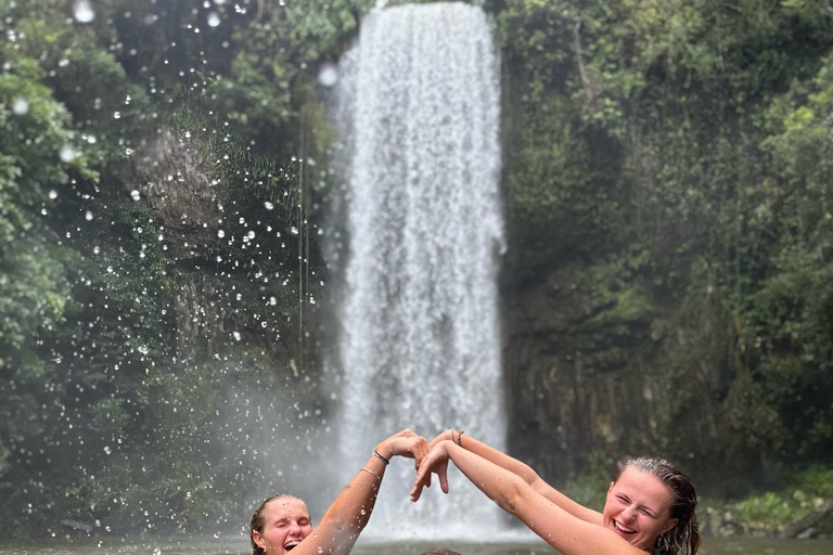 Cairns: 2-Day Atherton Tablelands & Cape Tribulation Tour