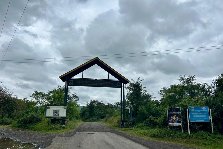 From Arusha: Arusha National Park Guided Day Trip