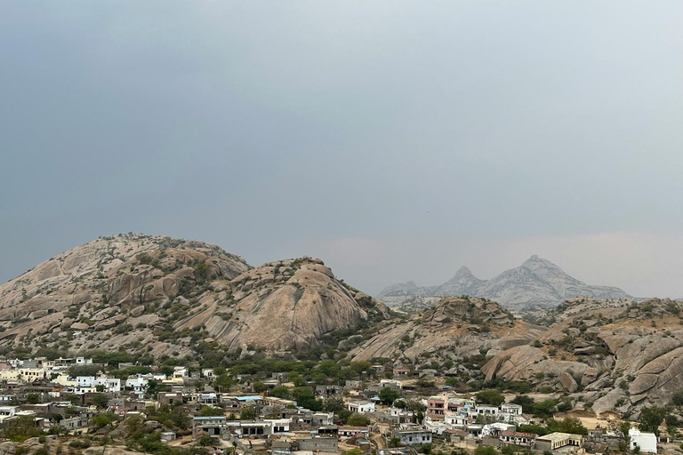 Jodhpur: Dagtrip naar Jawai Luipaard Safari en RanakpurRondreis voor 4-6 reizigers