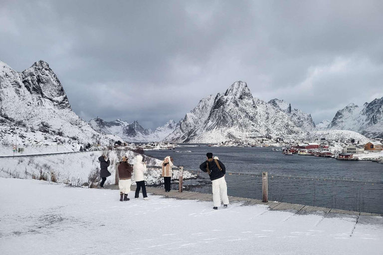 Svolvær: Rondleiding met gids over de Lofoten Eilanden