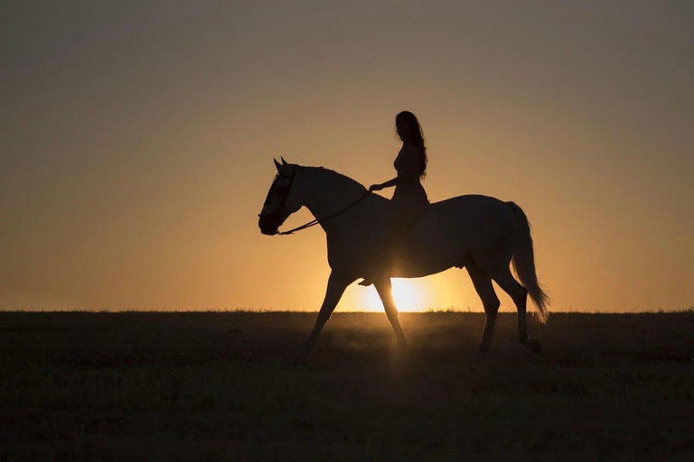 Qatar Desert Trails: Horse Ride & Dune Buggy Adventure