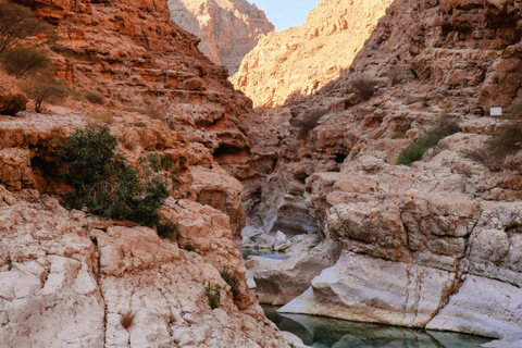 Evening Tour to Wadi Shab with Local Guide from Muscat