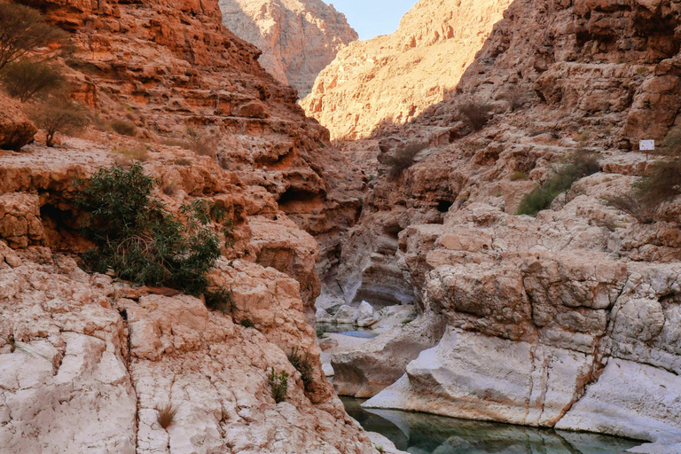Evening Tour to Wadi Shab with Local Guide from Muscat