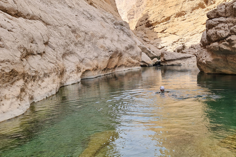 From Muscat: Wadi Al Arbieen Adventure, Sinkhole, Fins Beach