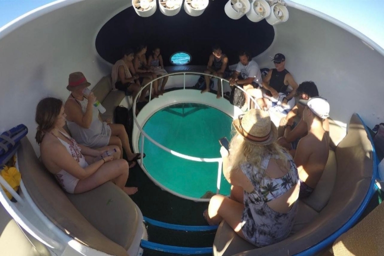 Scuba Doo : Découvrez la vie marine de Punta Cana en vous amusant