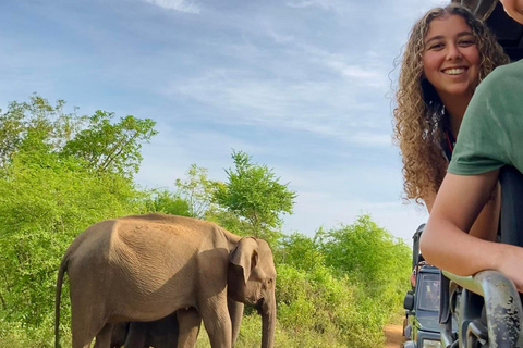 Da Tangalle: safari nel Parco Nazionale di Yala con partenza da EllaSafari mattutino di 4 ore